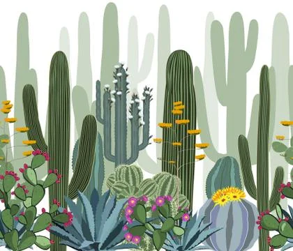 Seamless pattern with cactus, agave, and opuntia. Stock Illustration