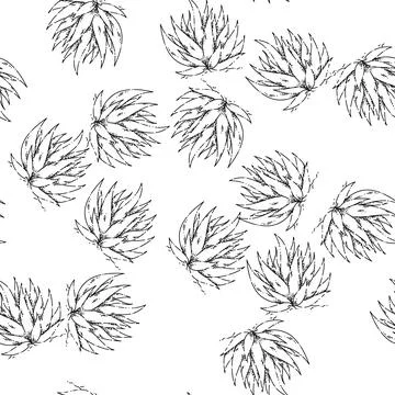 Seamless pattern cactus aloe sketch hand drawn Stock Illustration