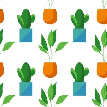 Seamless pattern of cactus and ficus in pots isolated on white background Stock Illustration