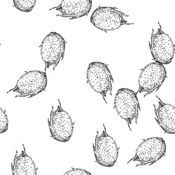Seamless pattern cactus dragon fruit sketch hand drawn Stock Illustration