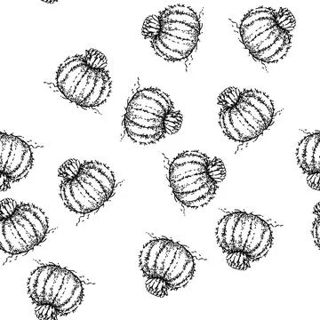 Seamless pattern cactus flower sketch hand drawn Illustrazione stock