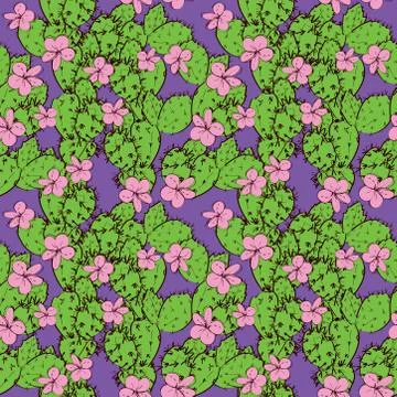 Seamless pattern cactus with flowers sketch green lilac pink, black contour o Stock Illustration