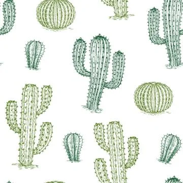 Seamless pattern with cactus. Hand drawn desert plants cactuses repeat vector Stock Illustration
