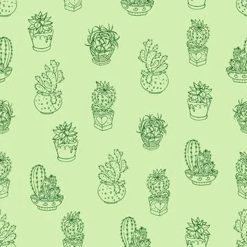 Seamless pattern cactus in pots. Vector images. Stock Illustration