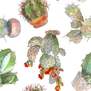 Seamless pattern with cactus, succulents and floral elements. Vintage watercolor Stockillustratie