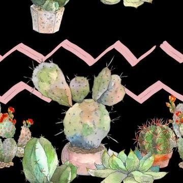 Seamless pattern with cactus, succulents and floral elements. Vintage watercolor Illustrazione stock