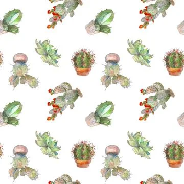 Seamless pattern with cactus, succulents and floral elements on white background 스톡 일러스트