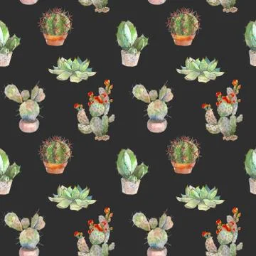Seamless pattern with cactus, succulents and floral elements on dark background Stock Illustration