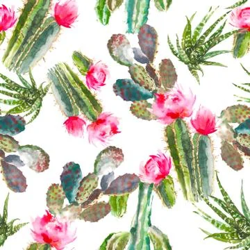 Seamless pattern with cactus, succulents and floral elements on white background Stock Illustration