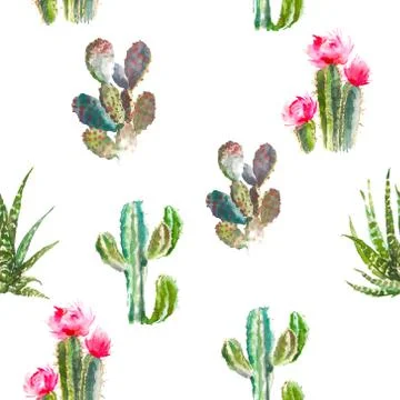 Seamless pattern with cactus, succulents and floral elements on white background Stock Illustration
