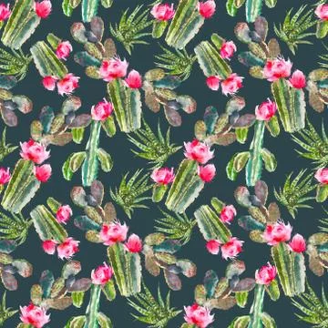 Seamless pattern with cactus, succulents and floral elements on dark background Stock Illustration