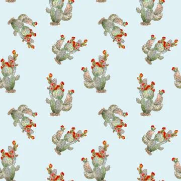 Seamless pattern with cactus, succulents and floral elements. Vintage watercolor Stock Illustration