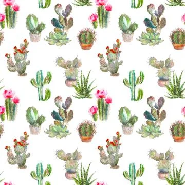 Seamless pattern with cactus, succulents and floral elements on white background Stock Illustration
