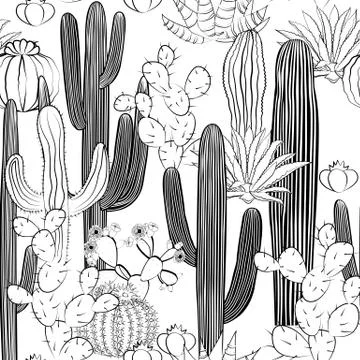 Seamless pattern with cactus. Wild cacti forest Stock Illustration