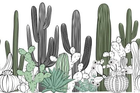 Seamless pattern with cactus. Wild cactus forest Stock Illustration