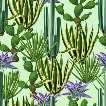 Seamless pattern with cactuses and succulents set. Plants of desert Stock Illustration