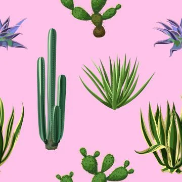 Seamless pattern with cactuses and succulents set. Plants of desert Stock Illustration