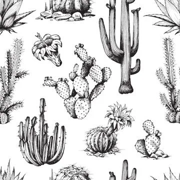 Seamless pattern with cactuses, monochrome engraving vector illustration. Stock Illustration