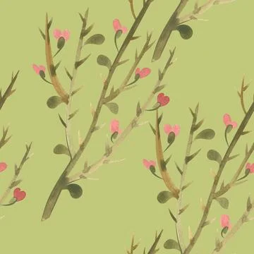 Seamless pattern with camel thorn. Design for textiles and paper. Watercolor Stock Illustration