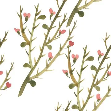 Seamless pattern with camel thorn. Design for textiles and paper. Watercolor Illustrazione stock