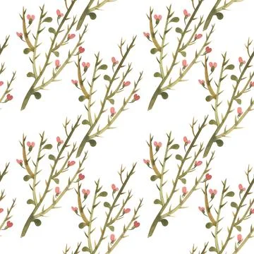 Seamless pattern with camel thorn. Design for textiles and paper. Watercolor Stock Illustration