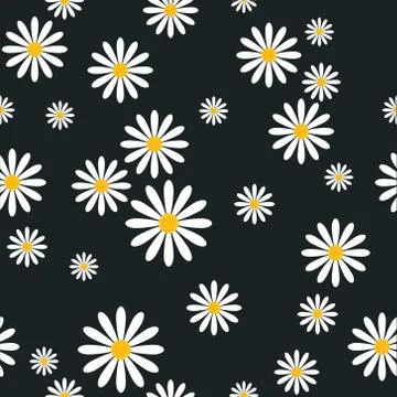 Seamless Pattern With Camomile Flowers On Black Background Template ute Floral Stock Illustration