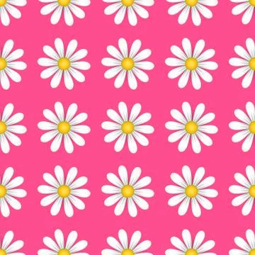 Seamless pattern camomile on a pink background Stock Illustration