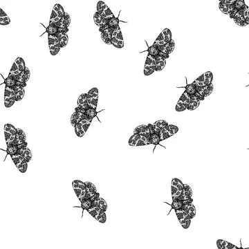 Seamless pattern camouflage night moth sketch hand drawn Stock Illustration