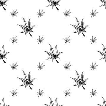 Seamless pattern Cannabis Leaf black on white Stock Illustration