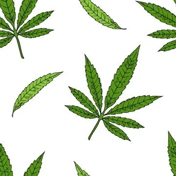 Seamless pattern of cannabis leaves. Vector cartoon background. Stock Illustration