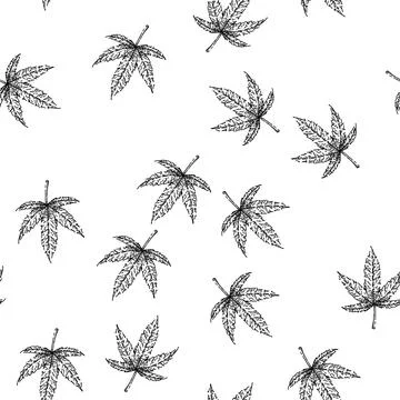 Seamless pattern cannabis plant sketch hand drawn Stock Illustration