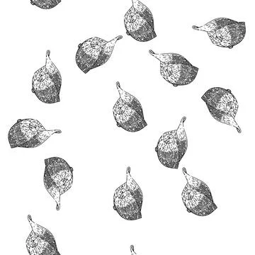 Seamless pattern cap baseball sketch hand drawn Illustrazione stock