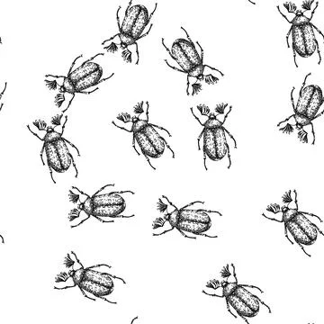 Seamless pattern carapace beetle sketch hand drawn Stock Illustration