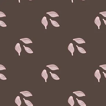 Seamless pattern cardamom on brown background. Cute plant sketch ornament. Ge Stock Illustration
