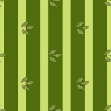 Seamless pattern cardamom on stripes green background. Cute plant sketch orna Stock Illustration