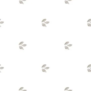 Seamless pattern cardamom on white background. Cute plant sketch ornament. Ge Stock Illustration