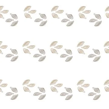 Seamless pattern cardamom on white background. Cute plant sketch ornament. Ge Stock Illustration