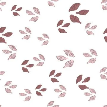 Seamless pattern cardamom on white background. Cute plant sketch ornament. Ra Stock Illustration