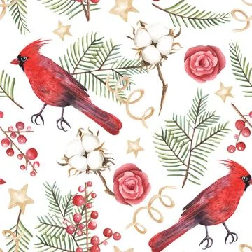 Seamless pattern. Cardinal bird and thuja twigs, cotton watercolor illustration Stock Illustration