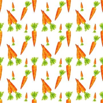 Seamless pattern with carrot isolated on white background. Watercolor drawing Illustrazione stock
