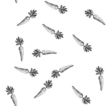 Seamless pattern carrot plant sketch hand drawn Stock Illustration