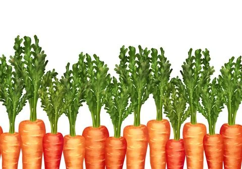 Seamless pattern of carrots. Decorative border. Easter design. Illustrazione stock