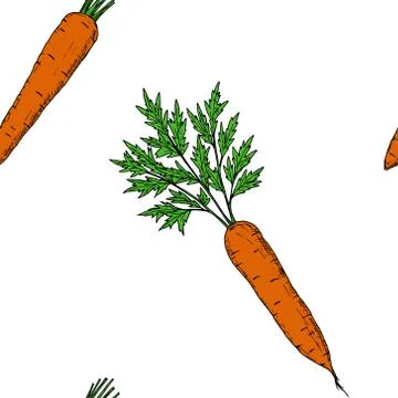 Seamless pattern of carrots. Vector cartoon background. Hand-drawn. Stock Illustration