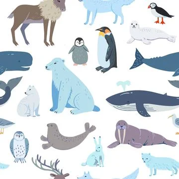 Seamless pattern with cartoon arctic and antarctic animals. Vector hand-dra.. イラスト素材