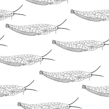 Seamless pattern of catfish contour isolated, hand drawn. Stock Illustration