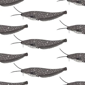 Seamless pattern of catfish, hand drawn. Can be used for packaging, menu, res Stock Illustration