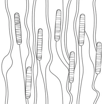 Seamless pattern with cattails. Stock Illustration