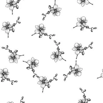 Seamless pattern cattleya orchid sketch hand drawn Stock Illustration