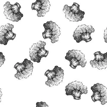 Seamless pattern cauliflower white fresh sketch hand drawn Stock Illustration