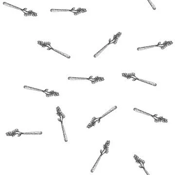 Seamless pattern celery leaf sketch hand drawn Stock Illustration